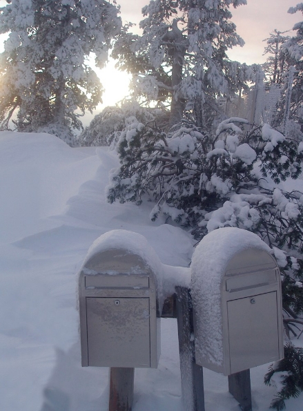 Afbeelding - https-www-ez-catalog-nl-Asset-aa0ab64e6b214f2ebdf02610cb03748d-ImageFullSize-classic-live-010-jpg